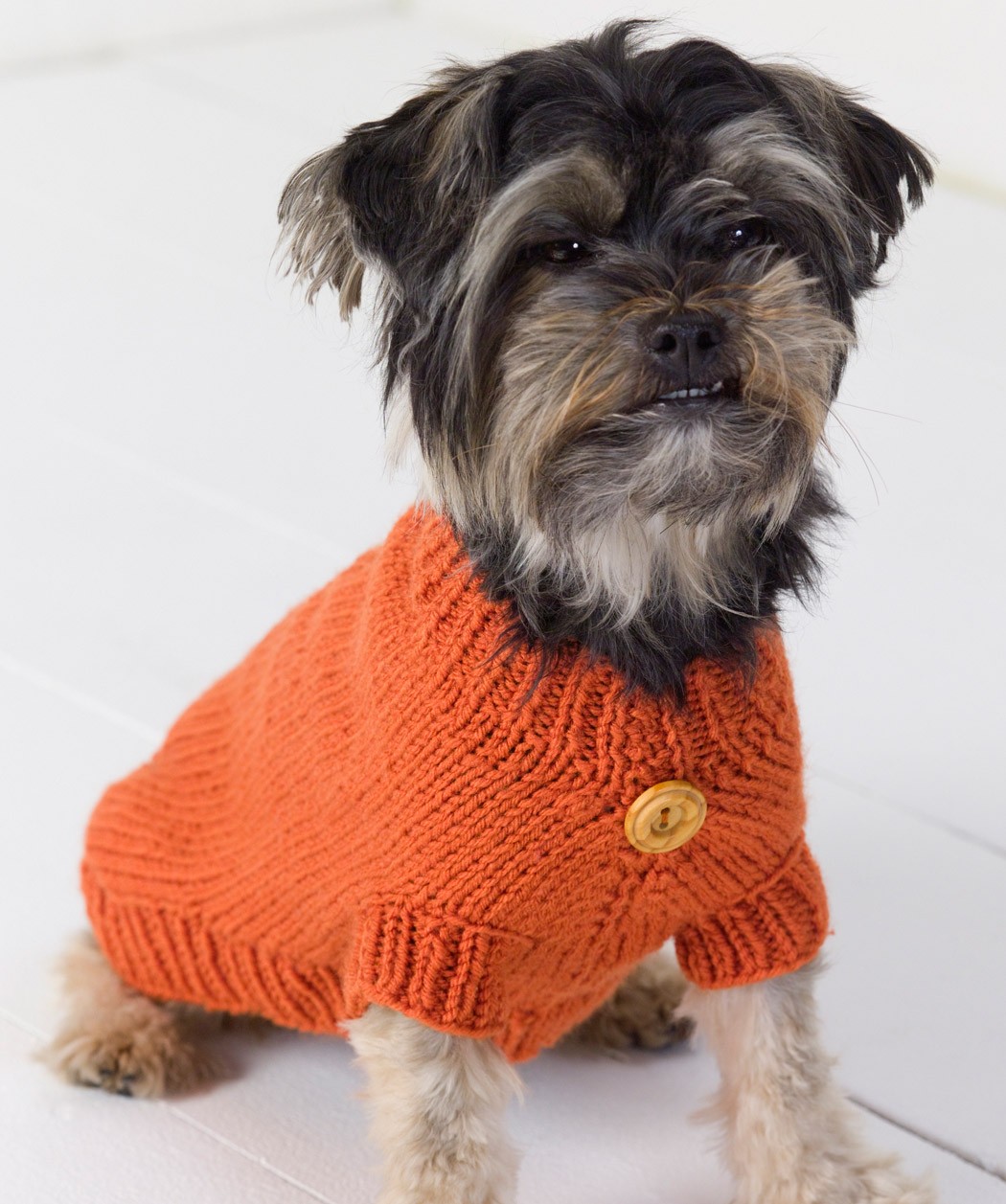 Free Knitting Pattern for Dog Coats Using 16 Capa - mikes naturaleza